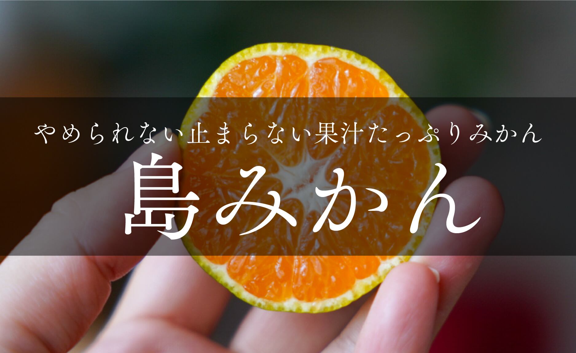 みかん。ページ 2025年売り切れ】島みかん（薄皮ジューシーな早生みかん） 1kg〜20kg