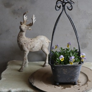 ビオラ　ヴィオレッタ　ペーパームーン　小さなお花　寄せ植え　丈夫で長く咲く　冬から春のお花