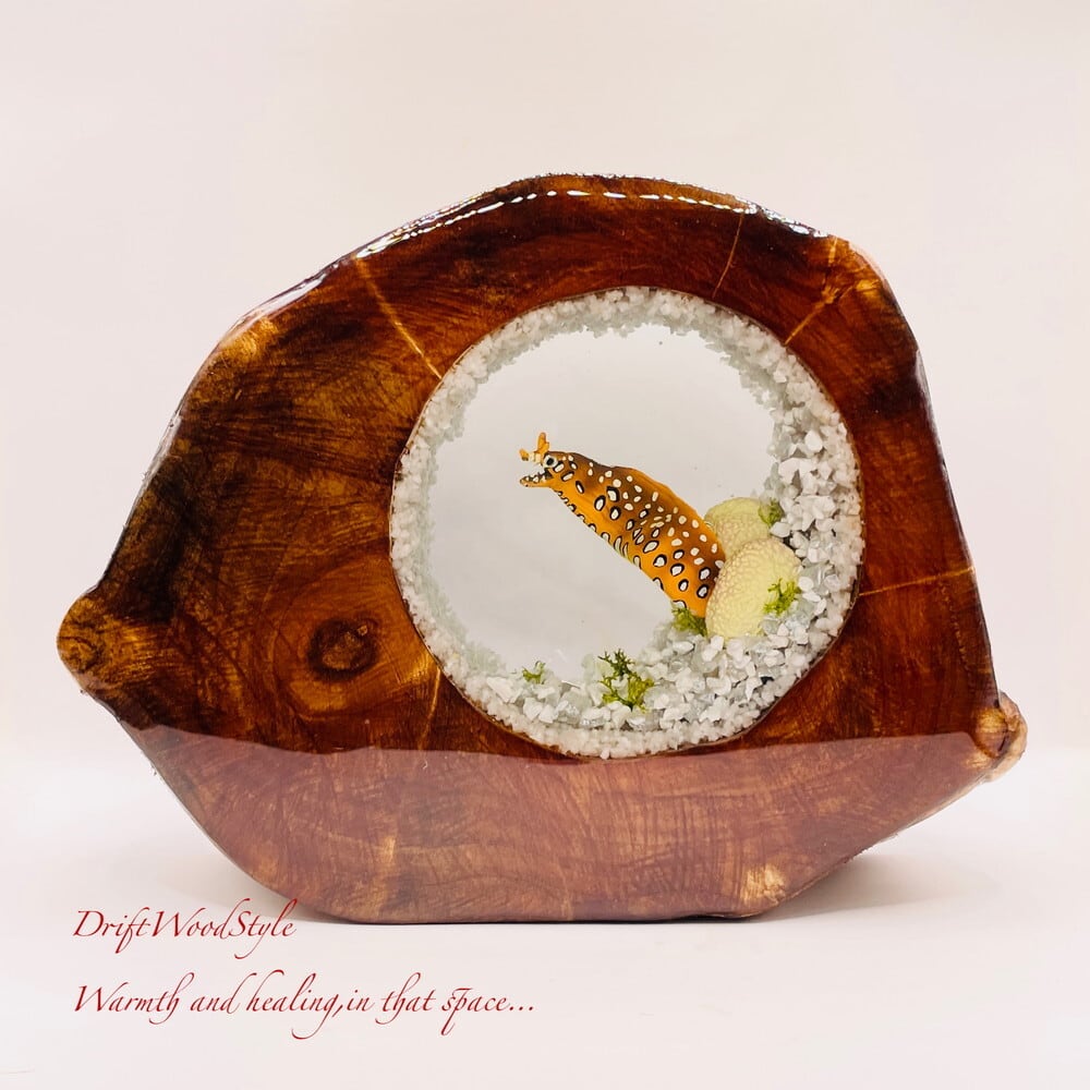 流木インテリア専門 DriftWoodStyle