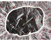 ﾏｺﾄ シャワーキャップ 使い捨てタイプ ６枚入