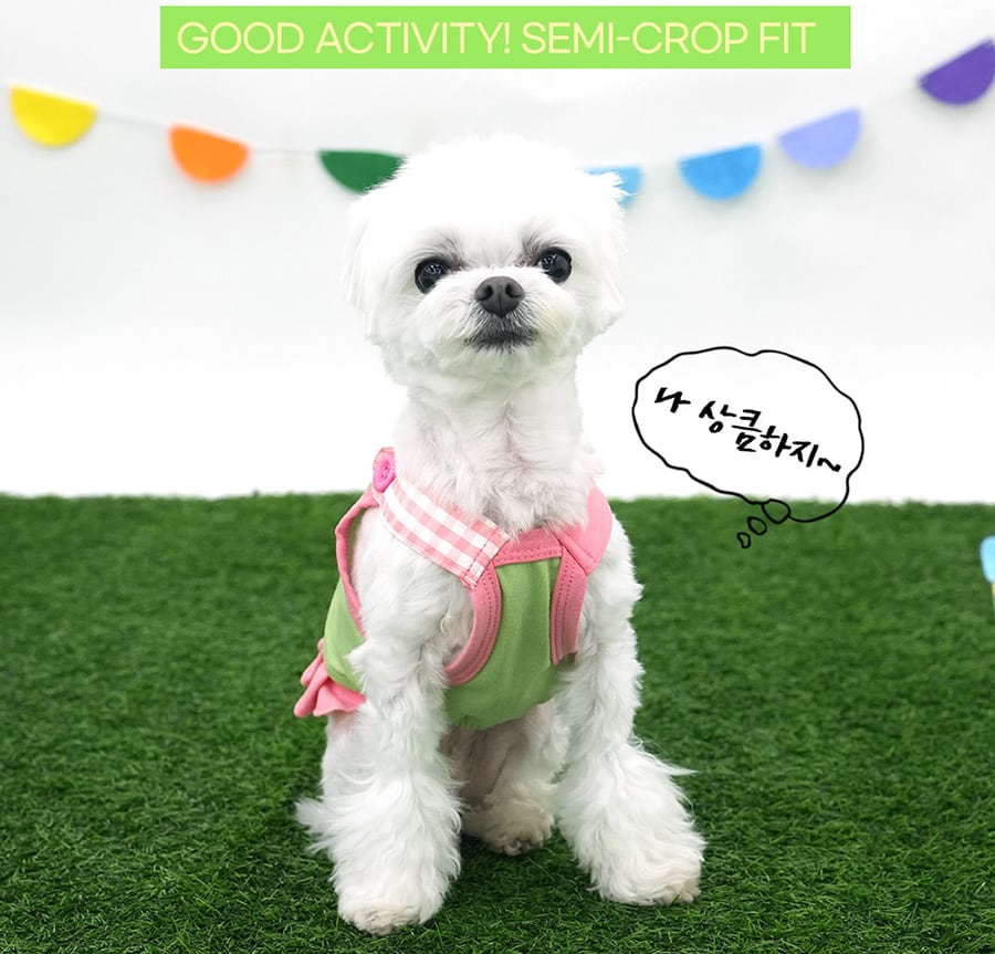 【予約商品5％OFF】pleats crop onepiece S ~ XL 2color  /  犬服 春夏 新作 可愛い 犬の服 ワンピース ショート丈 袖なし crop top お揃い ドッグウェア 涼しい ストレッチ シンプル