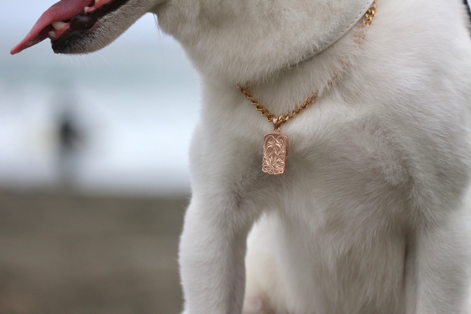 犬用】ネックレス単品販売ページ | Le'anal