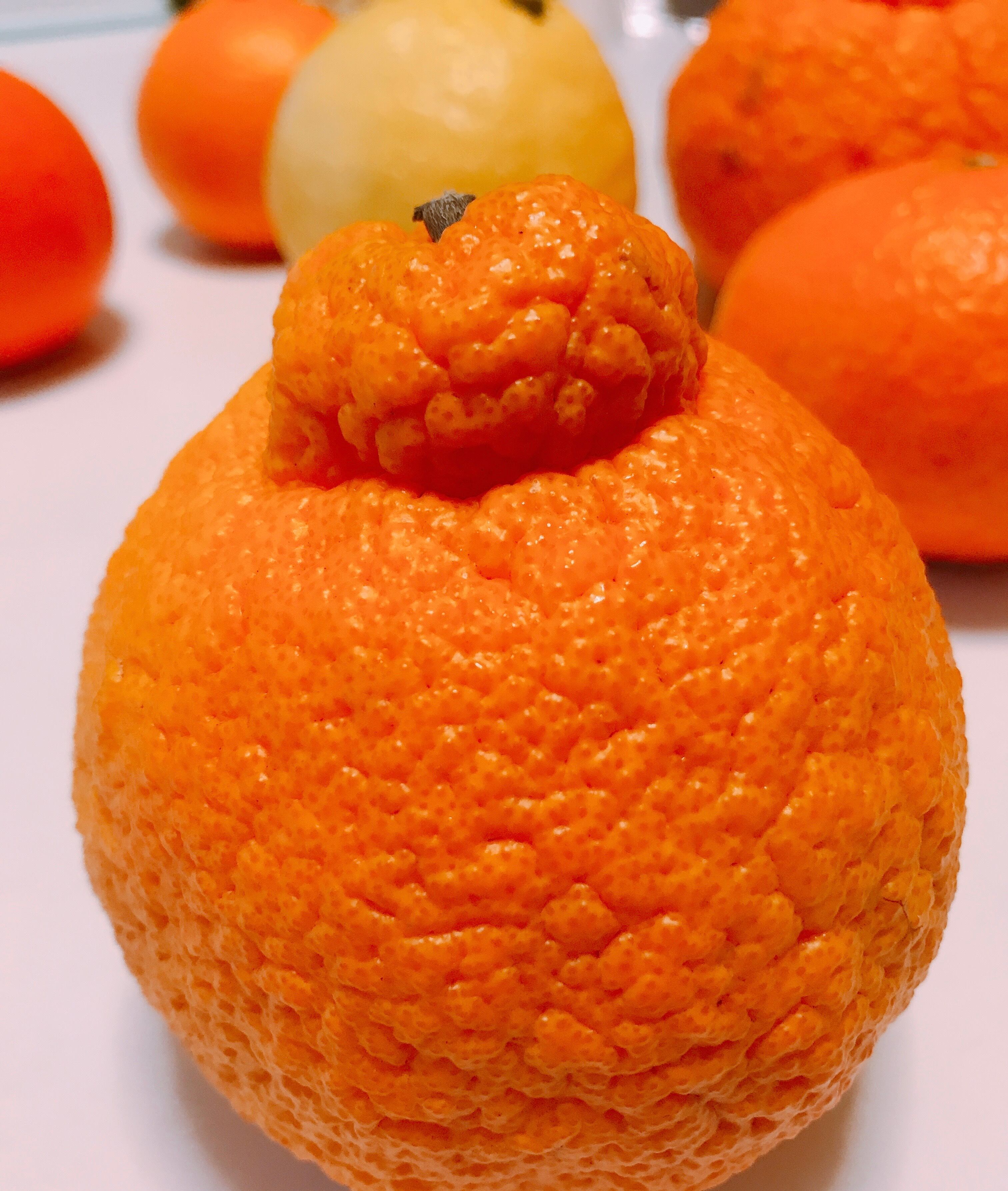 不知火(しらぬい)10kg