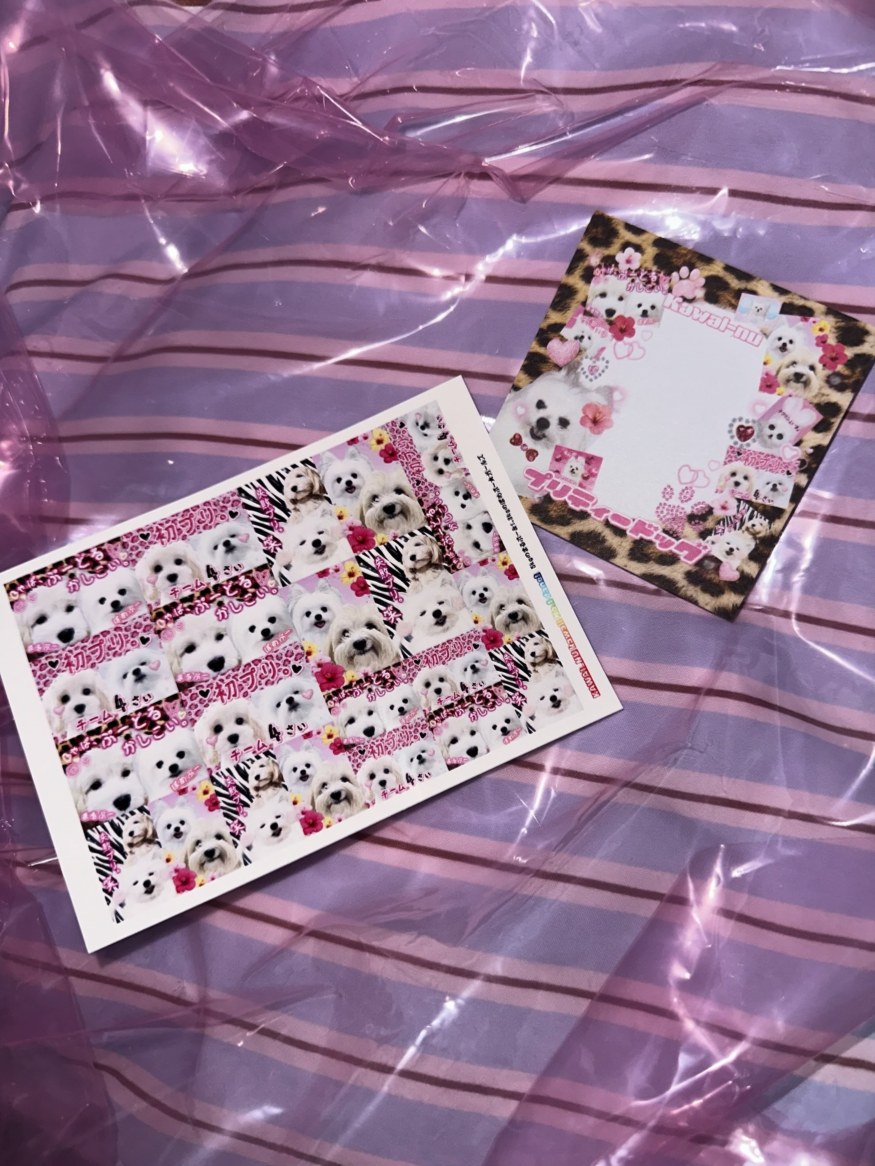 かわいーぬ本舗