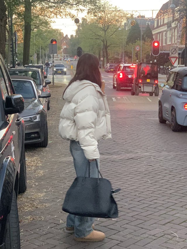 (予約) verveine / Urban hoodie goose-down short padding 2color