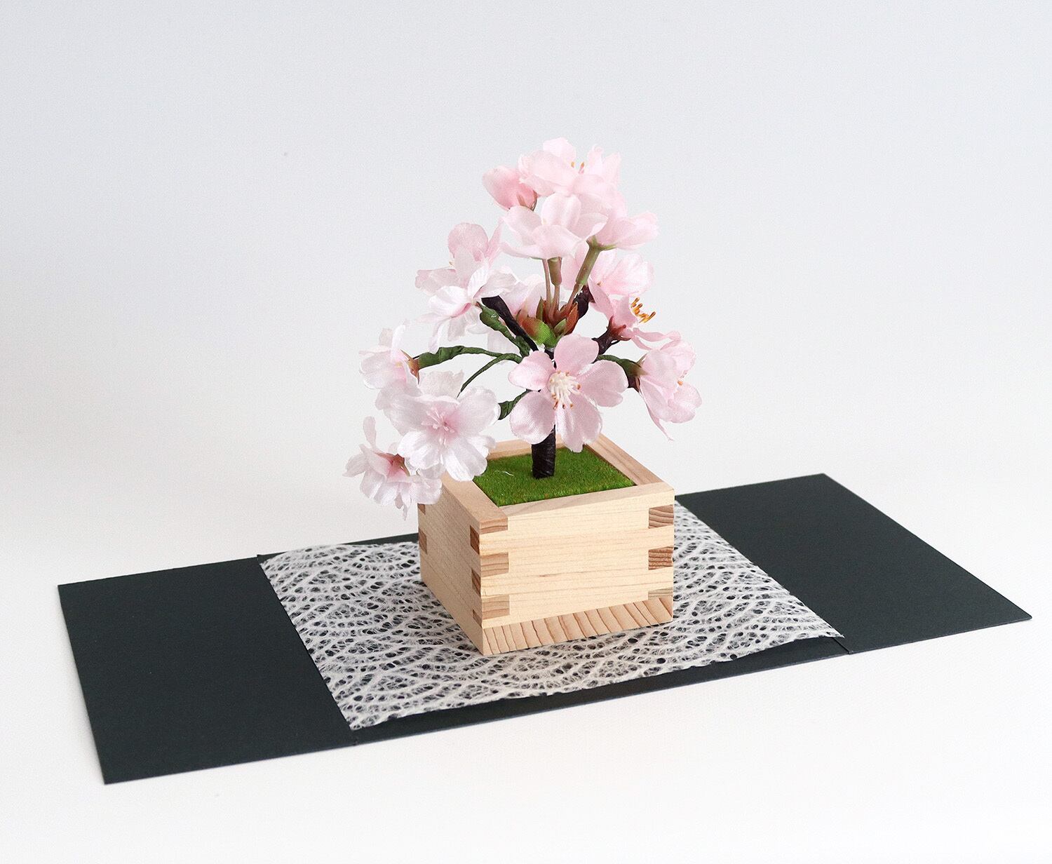 ミニ盆栽＞枡入り桜 雅・MIYABI 日本の春を永遠にお届けします | hana