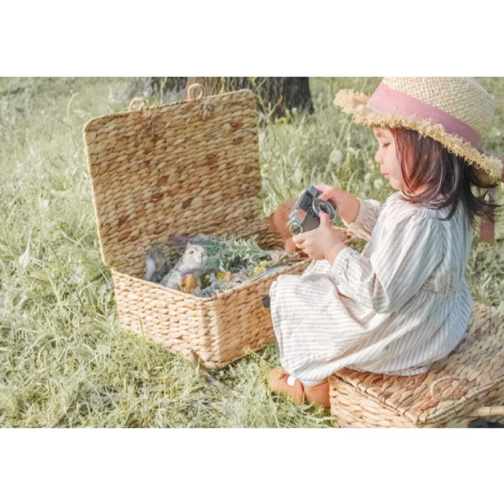 送料無料】 バスケット トランク Mサイズウォーターヒヤシンス 製