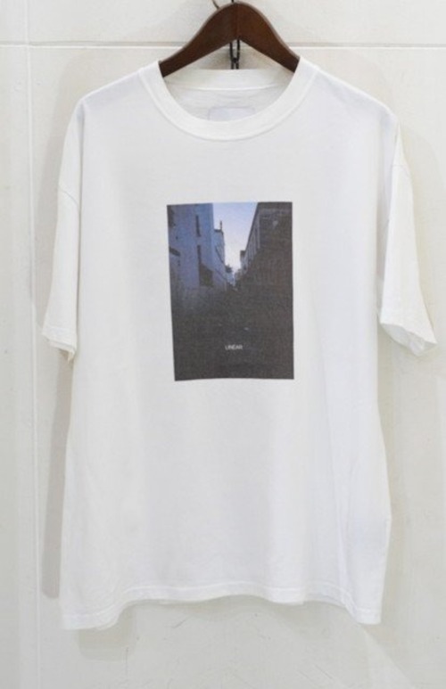 stein TEE