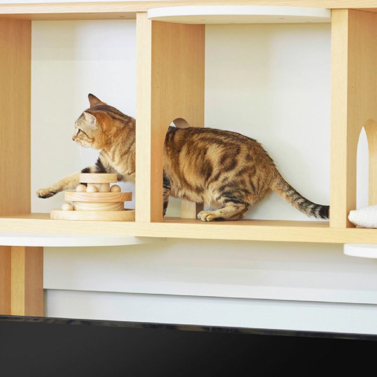 ニャコモ ケージ用ラック W90 NCM-1890 NA