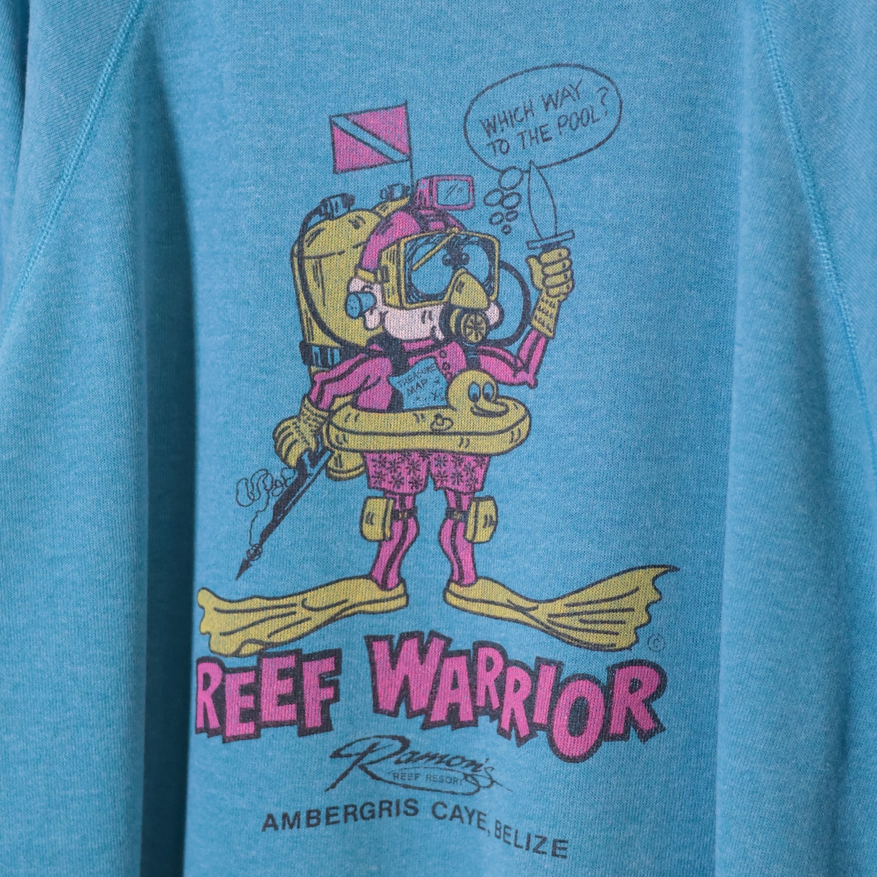 90s USA製 Hanes ラグランスウェット ブルー 外人ダイバー L