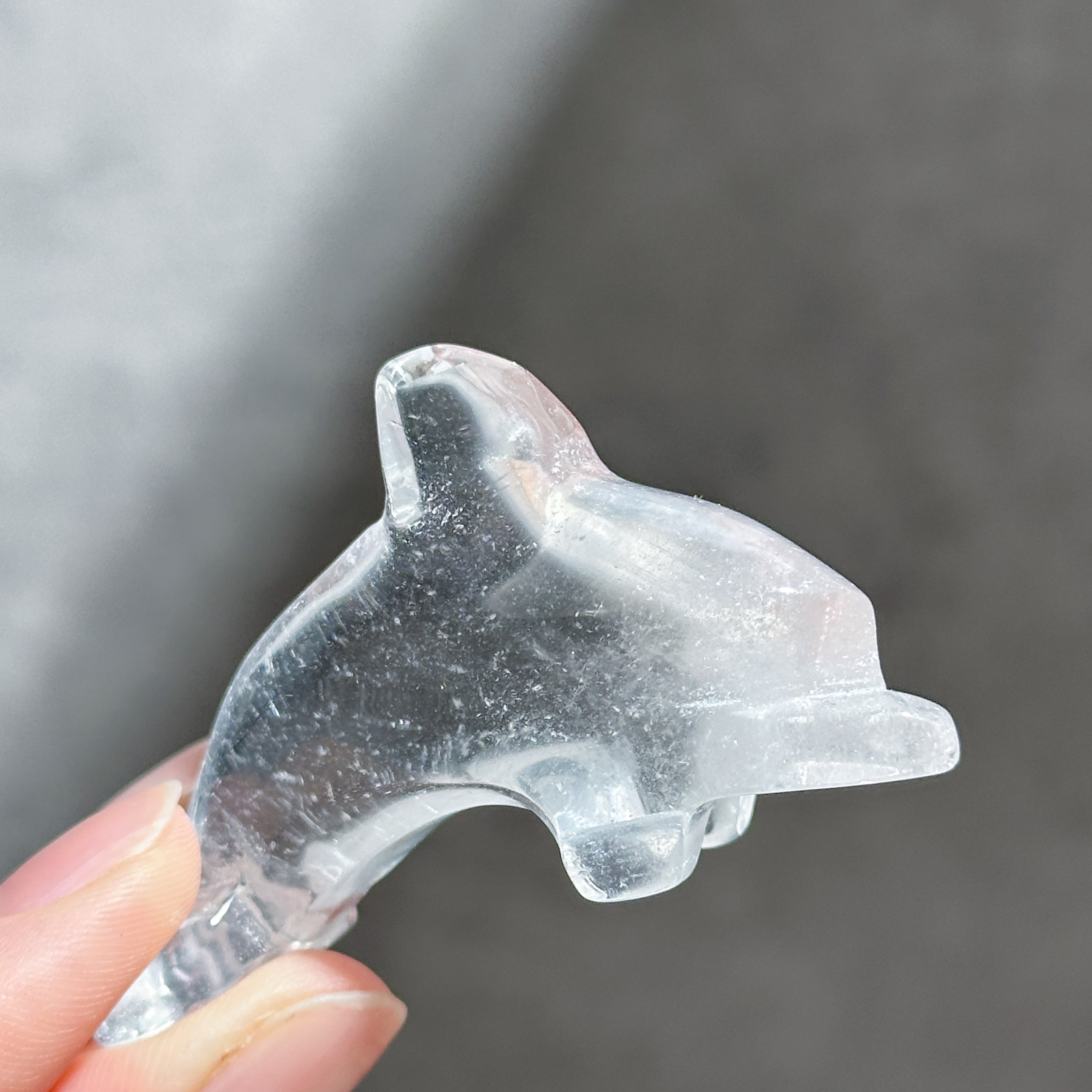 透明感◎クリアクォーツ ミニイルカ03◇Clear Quartz◇ 天然石・鉱物