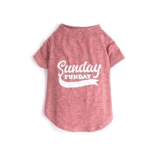 fab dog ファブドッグ　Sunday FUNDAY　Ｔシャツ