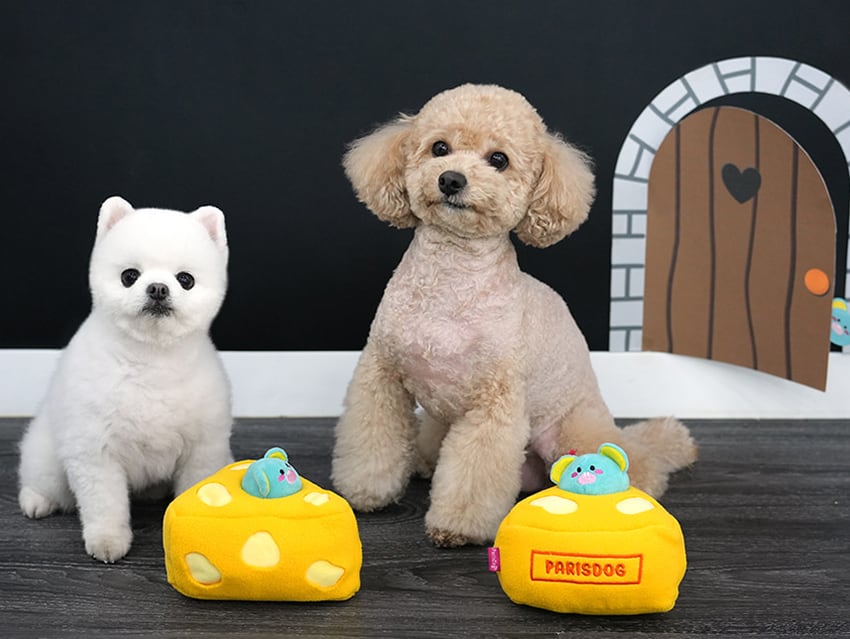 soft cheeze multi toy / ノーズワーク ペット 犬 おもちゃ