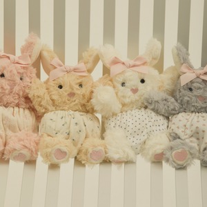 【予約】[ thesallyslaw ] Sally poop bag｜Beny