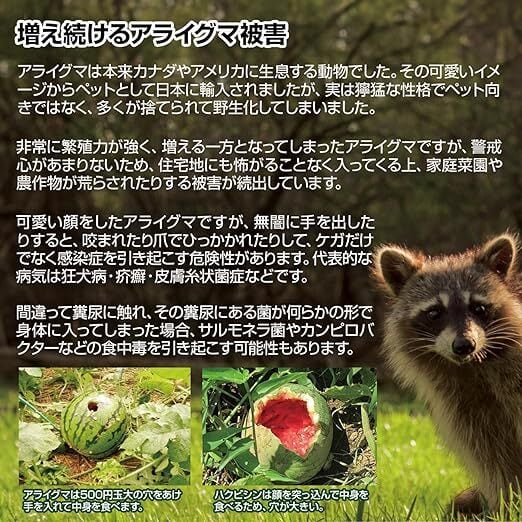 撃退アライグマ強力タイプ30個入 忌避剤をさらに2倍に増量した激臭シート