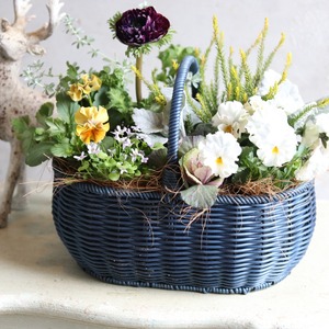 冬から春に楽しむ寄せ植え　アネモネファネモスとビオラの春まで綺麗なバスケットの寄せ植え　お正月にオススメ　届いてすぐ玄関に飾れる 　プレゼントにもオススメ　