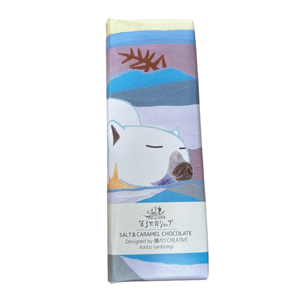 Artisan フェアトレード有機ソルト&キャラメルチョコレート(雪原の異世界) 40g