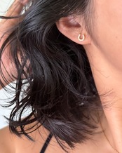 petit pierce - horseshoe