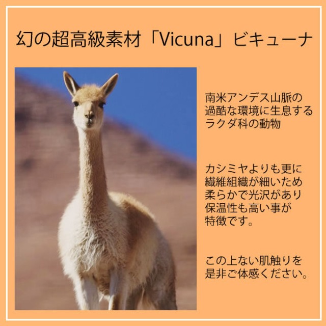 幻の高級素材「Vicuna」縄柄ヘチマ衿コート / カシミヤ80％ ビキューナ20％