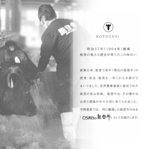 能登牛イチボステーキA5プレミアム(約100g×3枚)【NCI-3】【冷凍便】