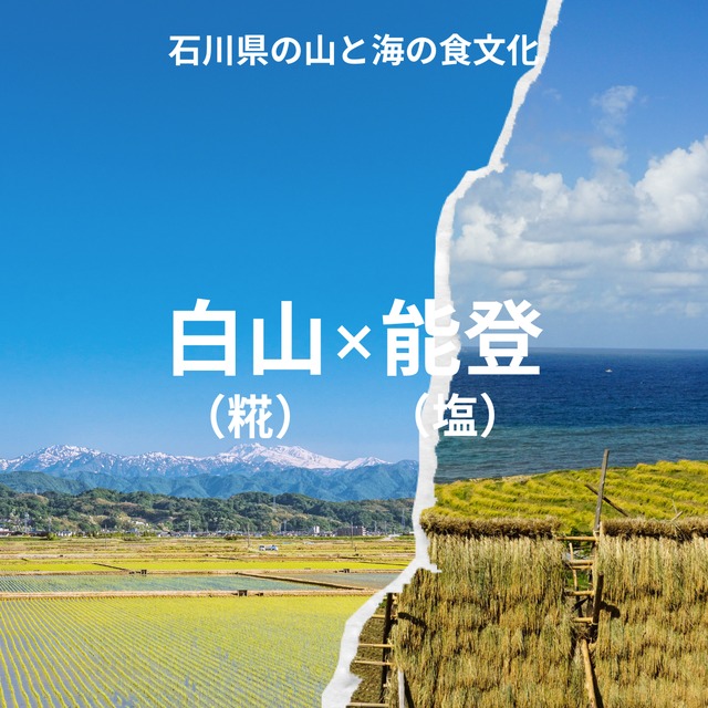 白山麓の塩こうじ 270g 真空パック