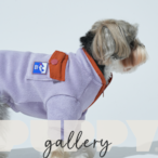 〈PUPPYGALLERY公式〉ハイキングフリースオールインワン 4XL-5XL