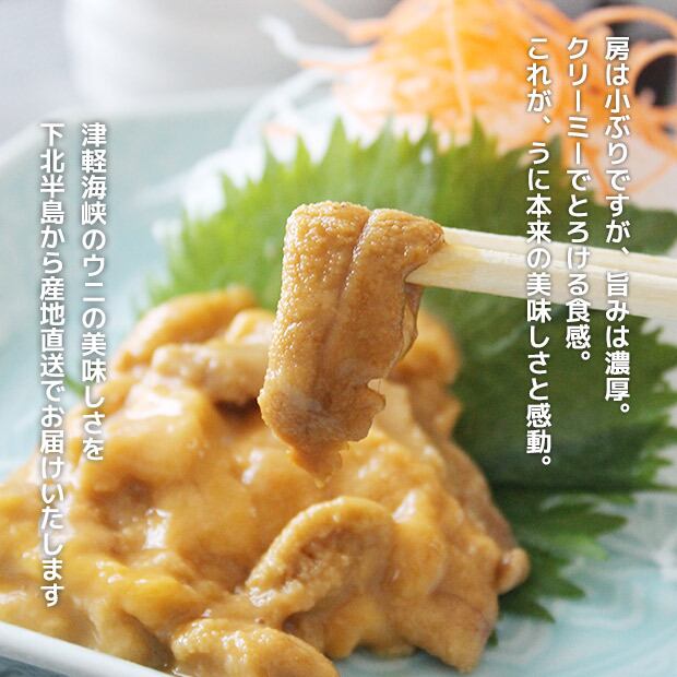 青森県 津軽海峡産 生うに 180g ミョウバン不使用 | 合同会社 阿部商店