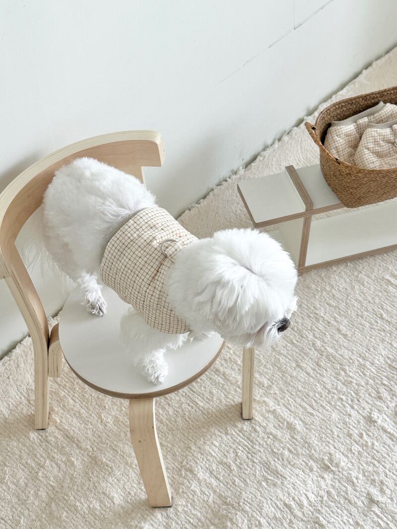 〈予約アイテム〉EYOU / キルトチェックハーネス