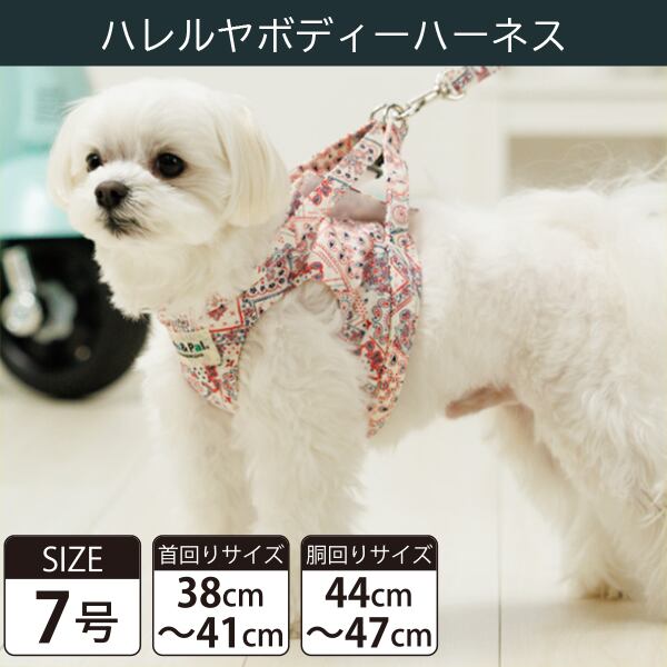 Toto&Pal(トトパル) ボディーハーネス・ハレルヤ(7号)