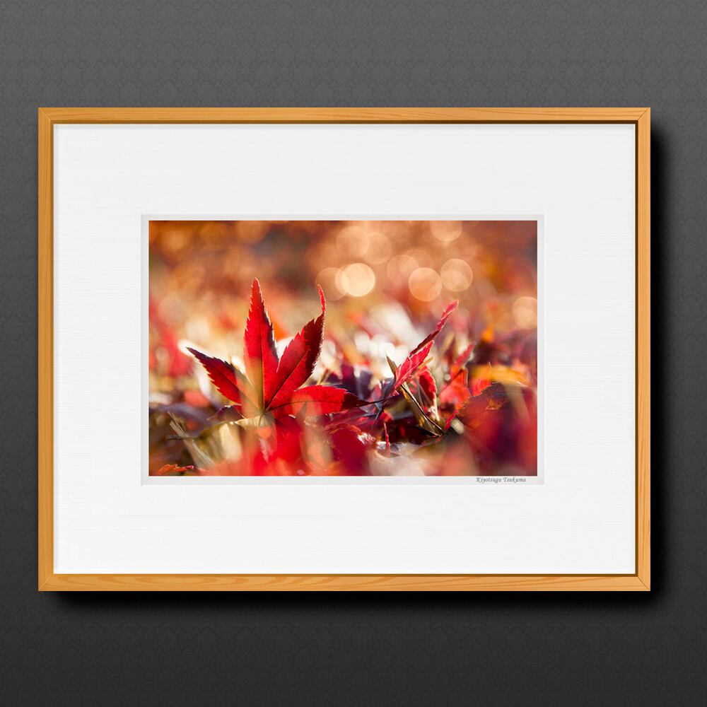 暮秋 ■額縁サイズ(大全紙)726×544mm