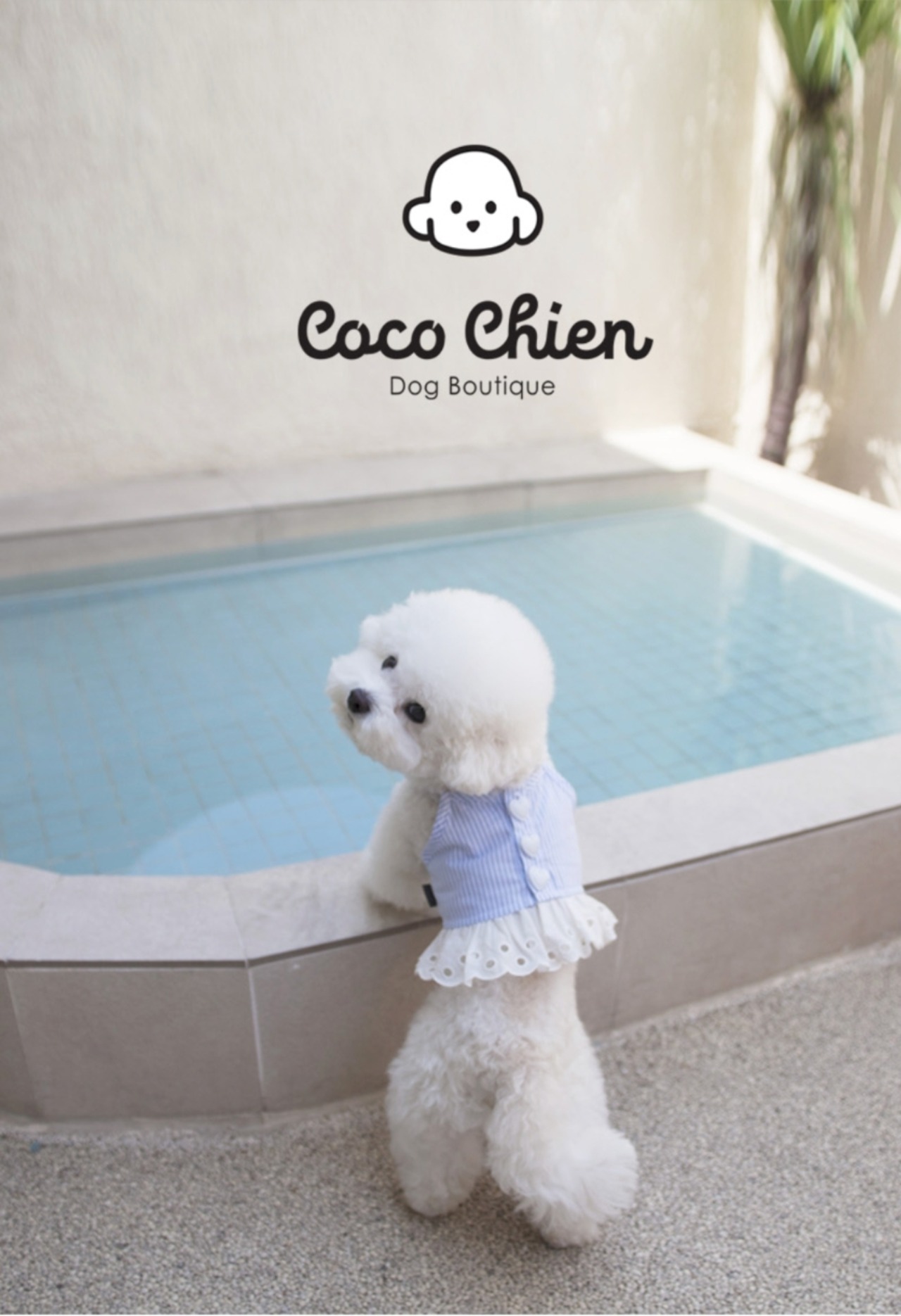 予約【coco chien】Bien Crop