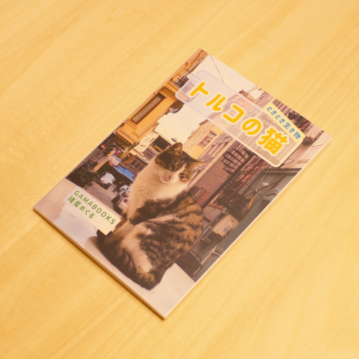 トルコの猫 ～ときどき生き物～ / 諸星めぐる | GAMABOOKS 諸星めぐる