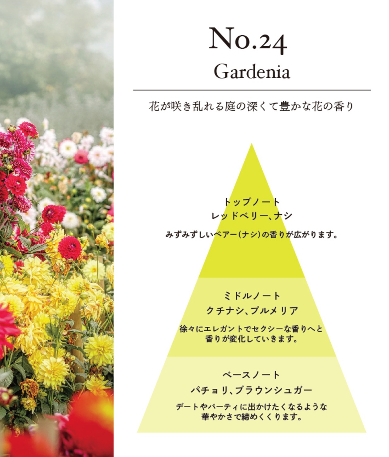 Nichic　Extrait de Parfum【No.24】Gardenia　10mL