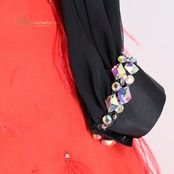 社交ダンス 衣装 スタンダードドレス ドレス ワンピース スタンダード 赤 黒 羽 ファー デモ 競技 ダンス パーティ 発表会 豪華 華やか ブラック系 レッド系 ベロア 大きな花モチーフ 高級感 おしゃれ ゴージャス ダンス衣装 イベント用 フォーマル レディース フェザー 飾り