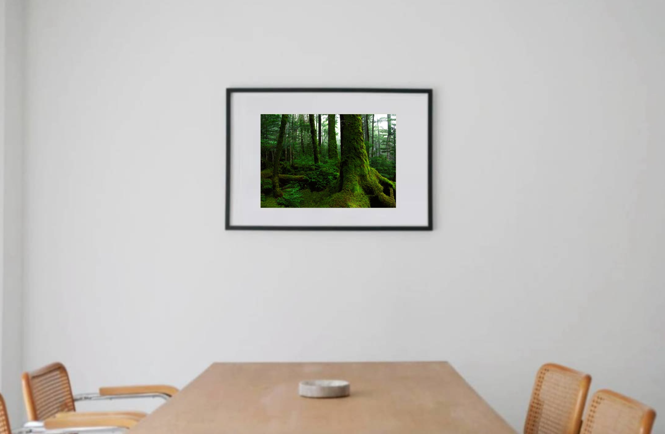 Deep Forest #4 black wooden frame 63㎝ × 93㎝付き ( LL )