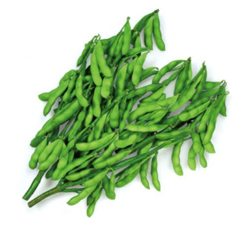 エダマメ「湯あがり娘」（2000粒） 画像