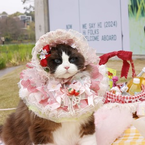 お取り寄せ・苺ヘッドアクセサリーのみ