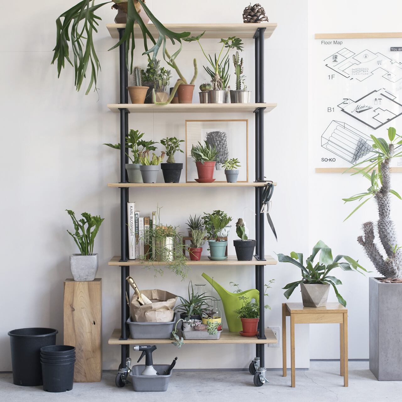 BUILD RACK / ビルドラック