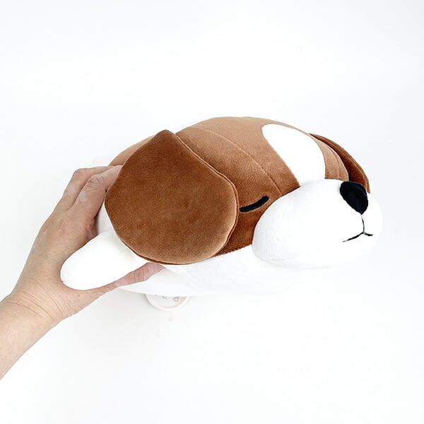 シュタイフ コーイケルホンディエ 25cm 日本限定 シュタイフの「日本