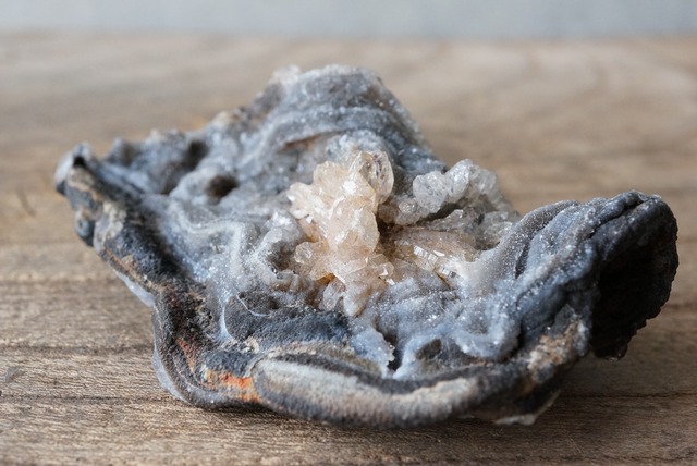 コンシャ・アゲート Concha Agate 706