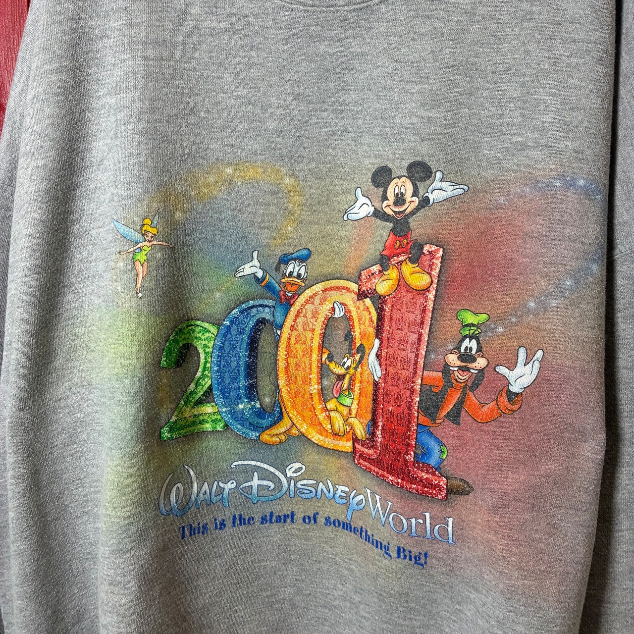 00s USA製 Walt Disney World 2001 記念 キャラクタープリント スウェット