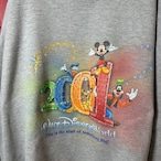 00s USA製 Walt Disney World 2001 記念 キャラクタープリント スウェット