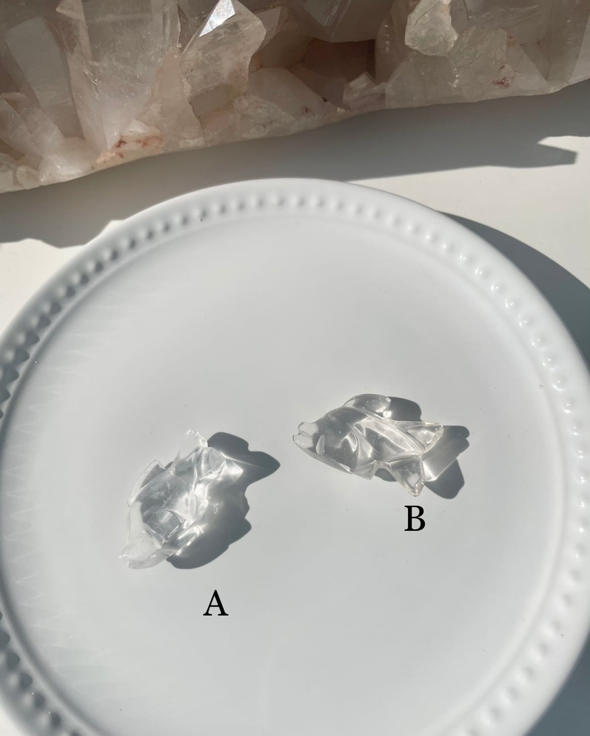 Crystal Fish / 水晶　魚