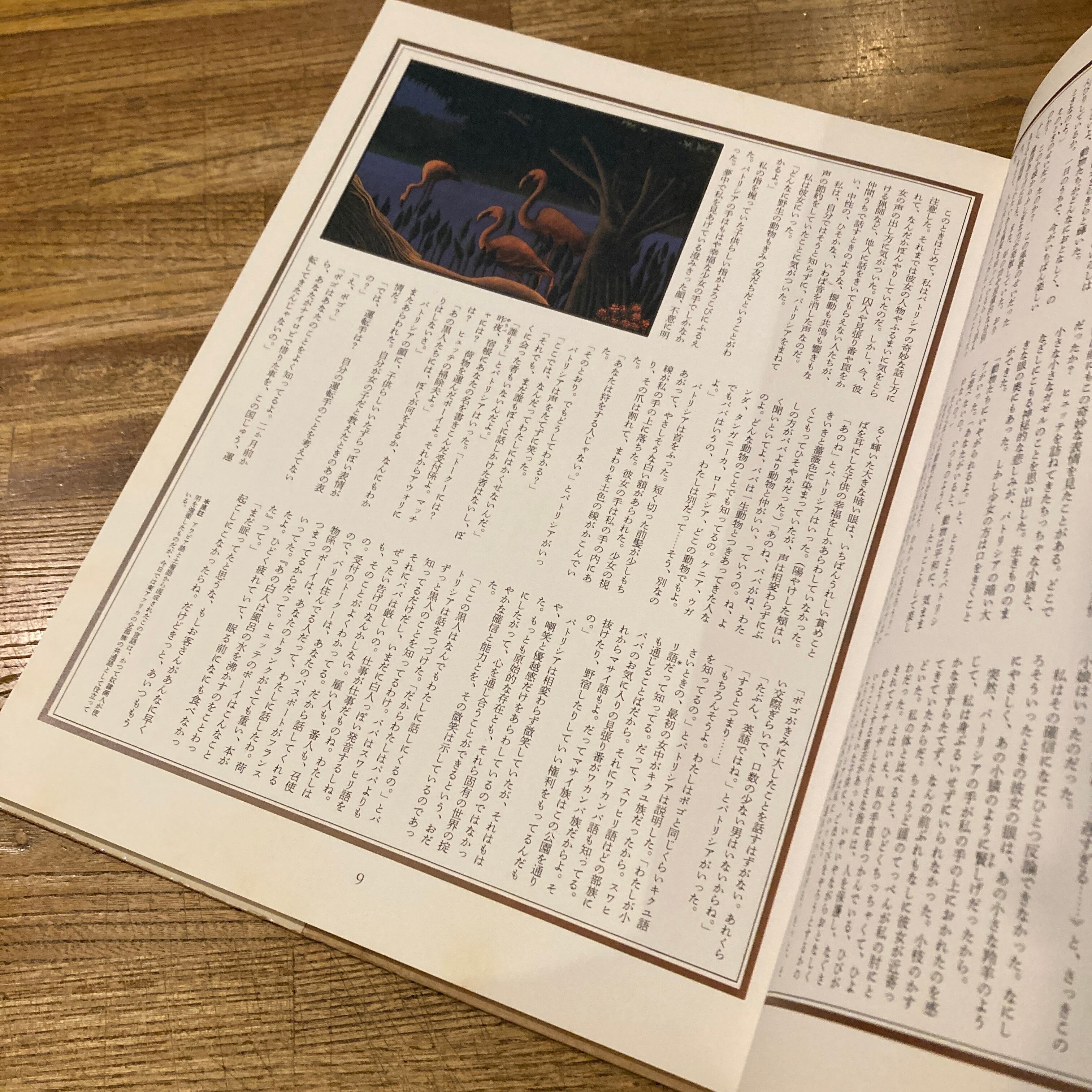 ガリマール・コレクション 5冊セット 少年と川／牧場物語／ボタン戦争
