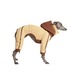BONDIR Hazelnut Hooded Onesie for Sighthounds L-XL