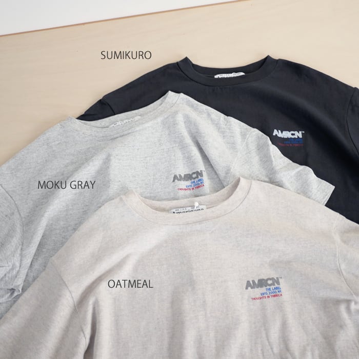 Americana ラフィー天竺丸胴クラシックT AMERICANA（アメリカーナ） tシャツ 別注 丸胴 ラフィー天竺 ロゴ