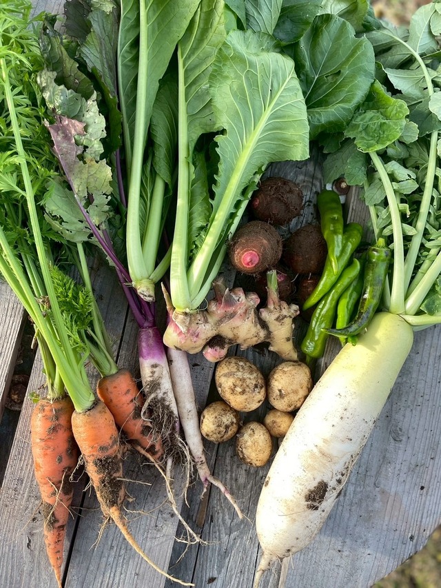 野菜セット - 小【畑で直接受け取り】