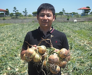 【リニューアル!】野菜計画の"濃い味"野菜箱大盛り（＊初回限定10％OFF）