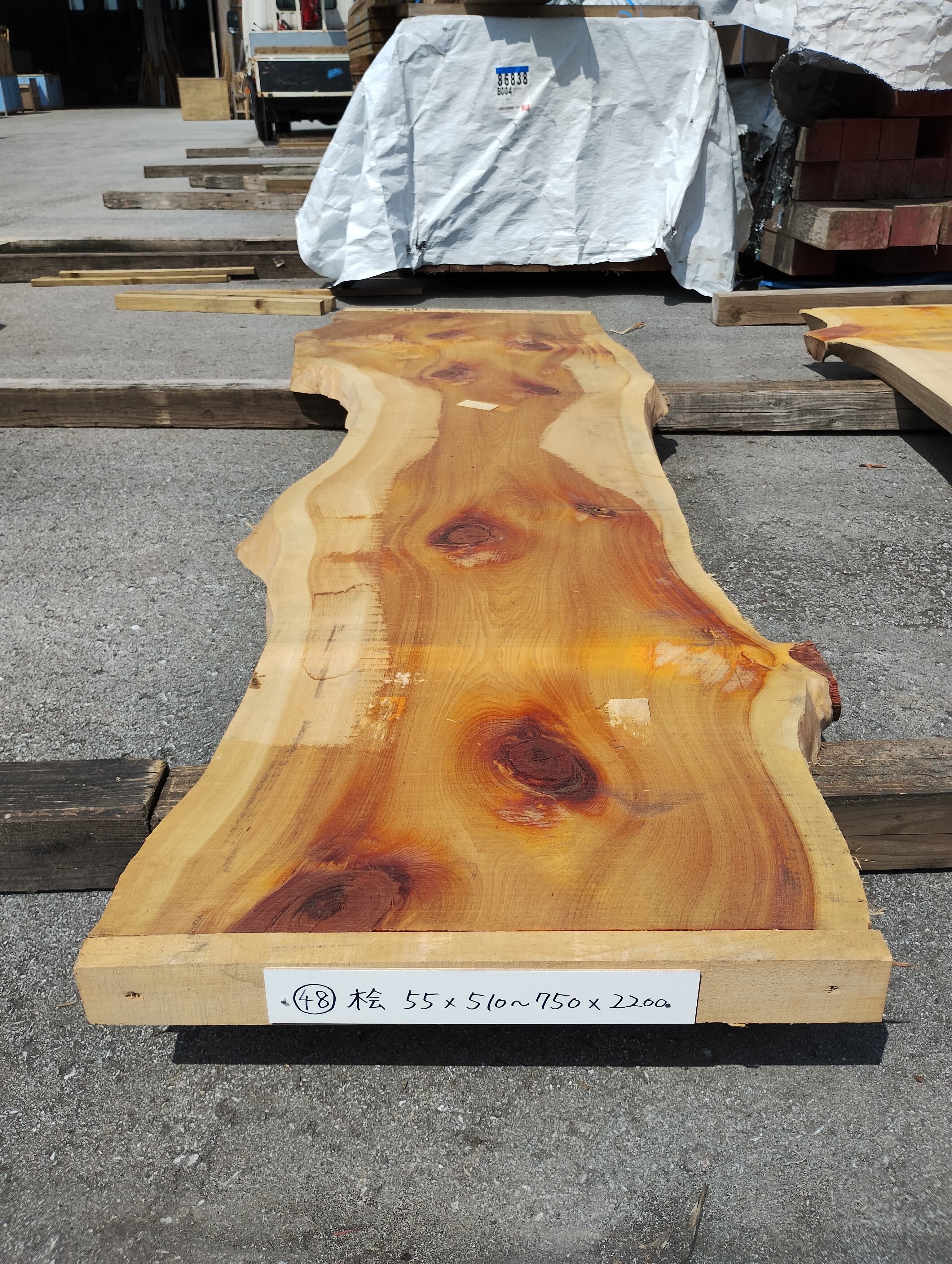 耳付盤木(桧)No.48