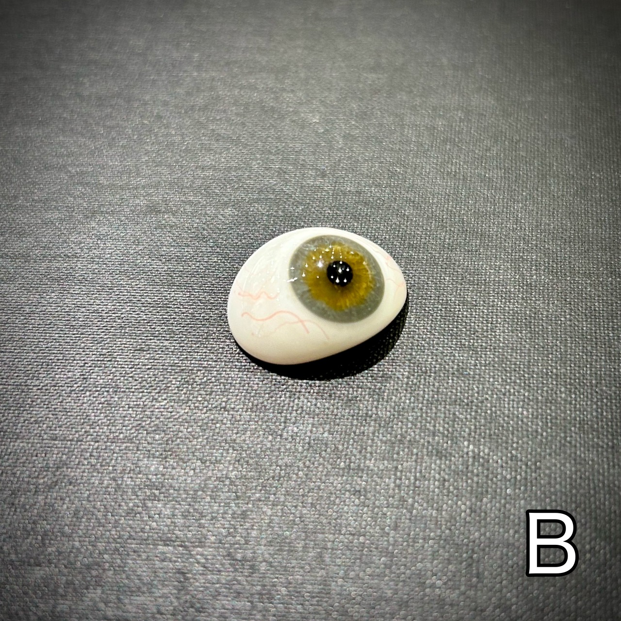 アンティーク義眼 | THE STUDY ROOM